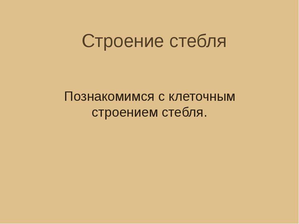 Строение стебля. Познакомимся с клеточным строением стебля