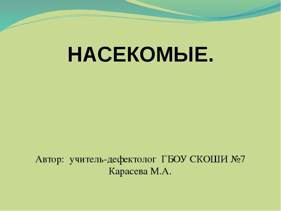 Насекомые