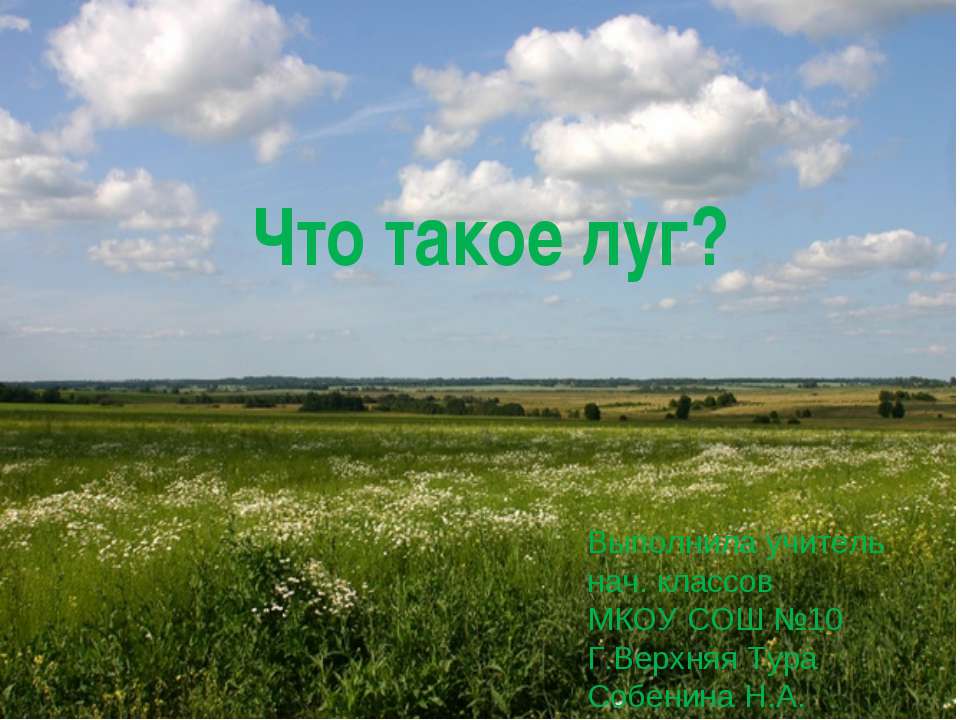 Что такое луг?