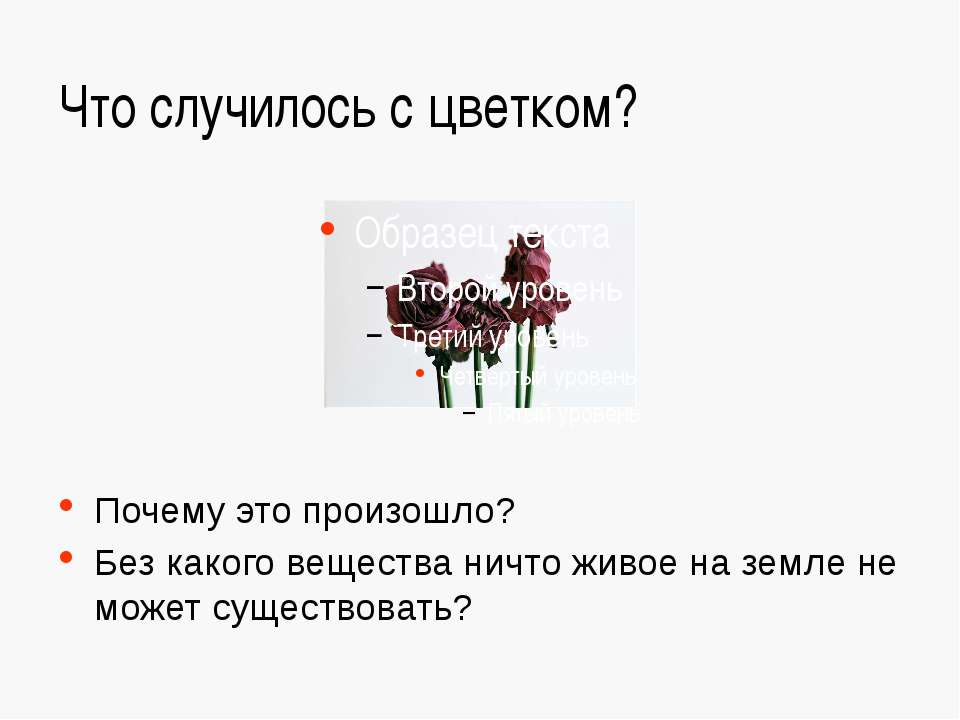 Вода и ее роль в природе