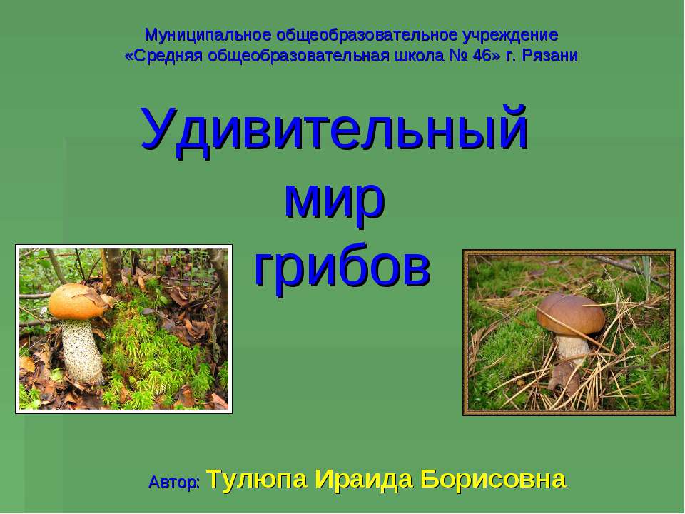 Удивительный мир грибов