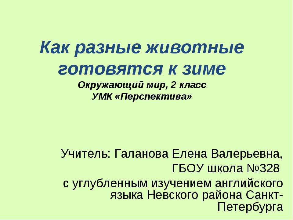 Как разные животные готовятся к зиме