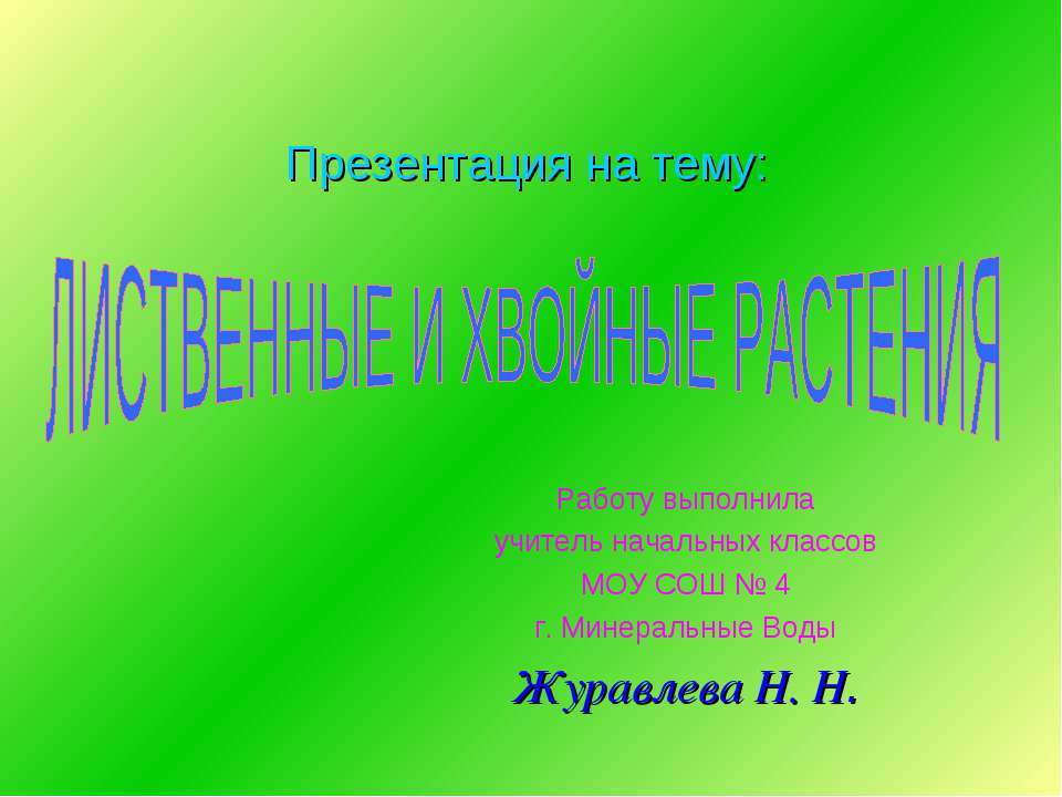 Лиственные и хвойные растения