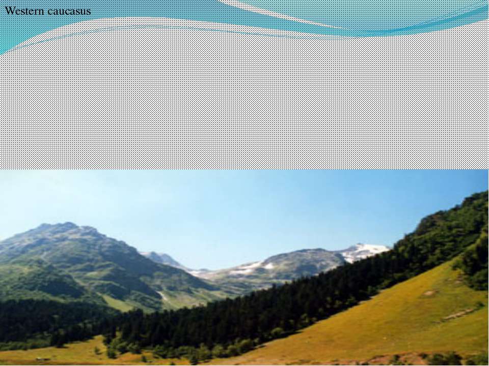 Western caucasus