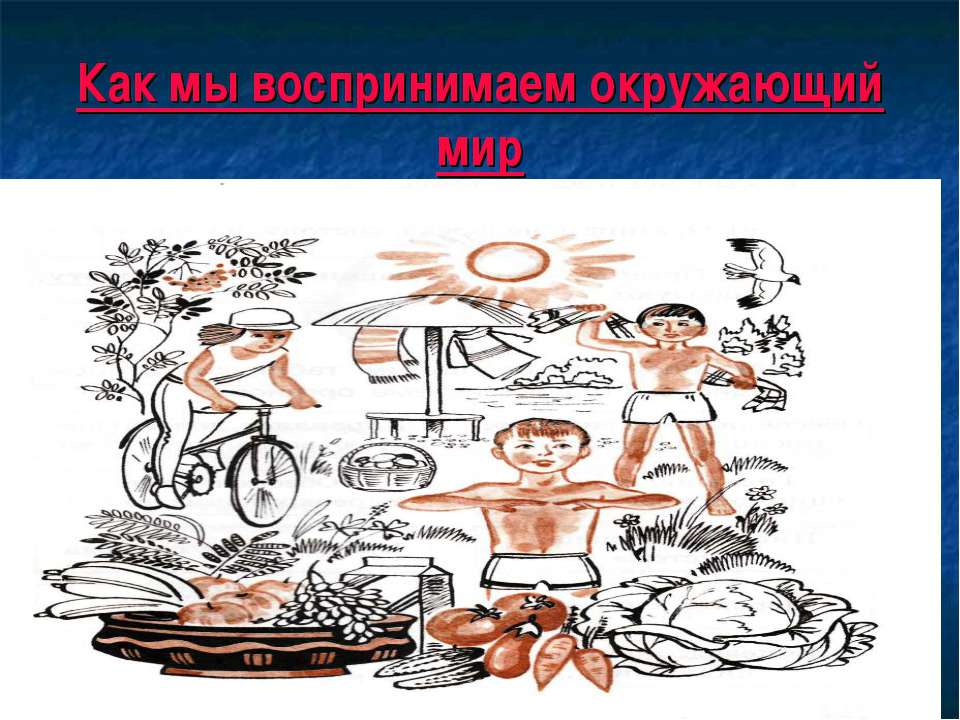 Как мы воспринимаем окружающий мир