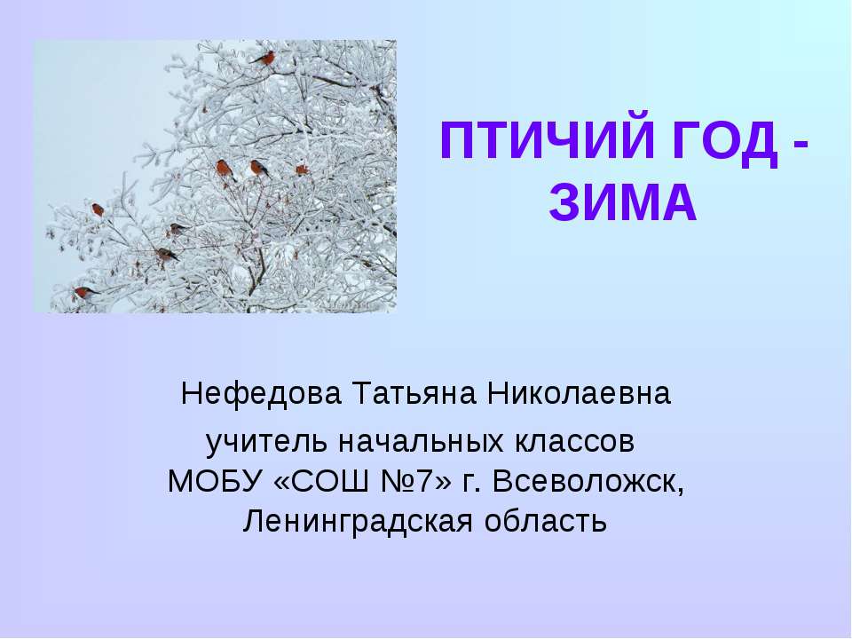 Птичий год - зима