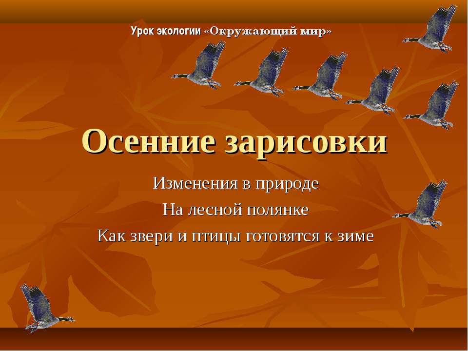 Осенние зарисовки
