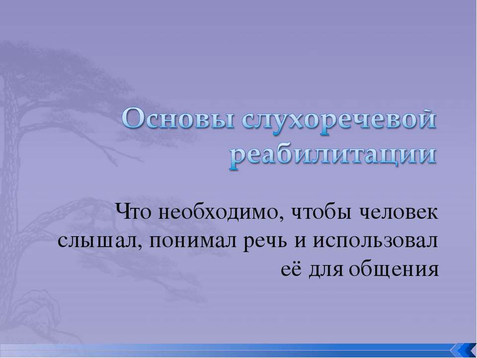Основы слухоречевой реабилитации