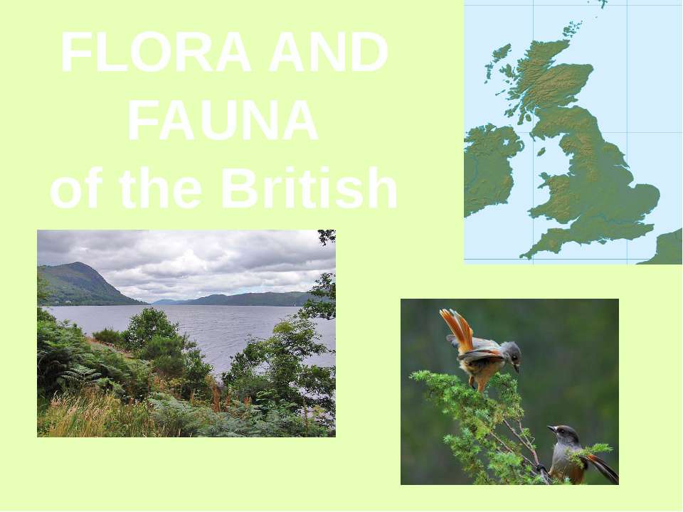 Flora and fauna of the British Isles
