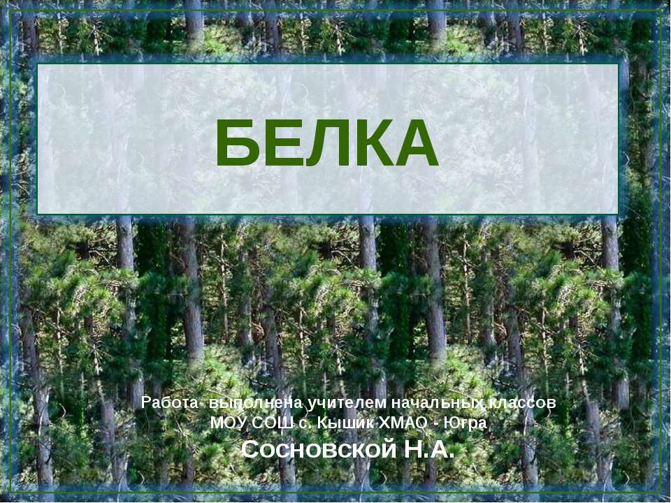 Белка