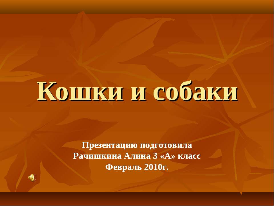 Кошки и собаки 3 класс