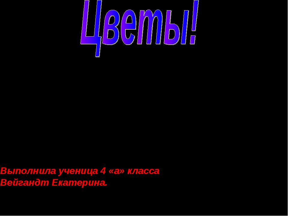 Цветы!