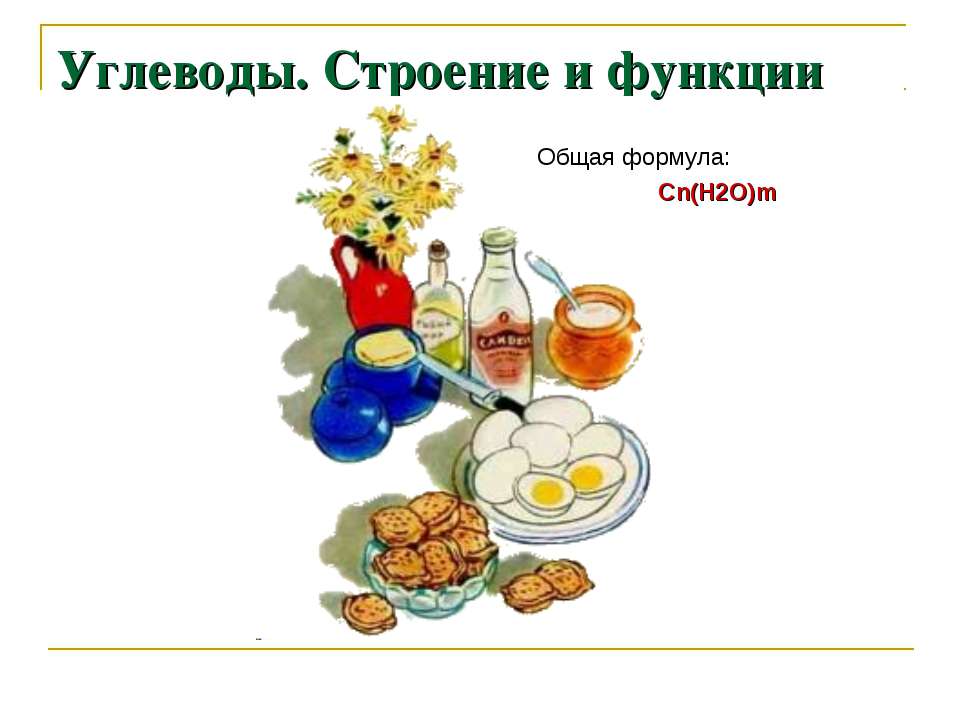 Углеводы. Строение и функции