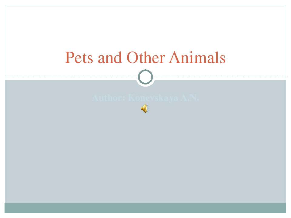 Pets and Other Animals