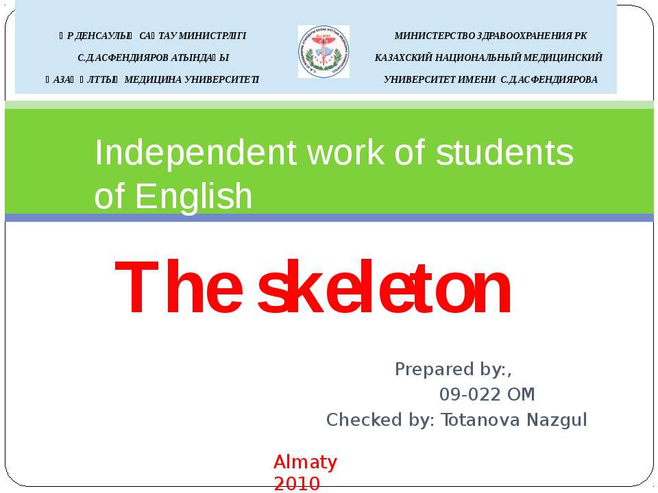 The skeleton