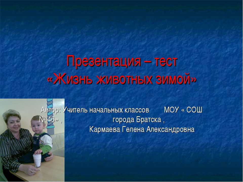 Жизнь животных зимой