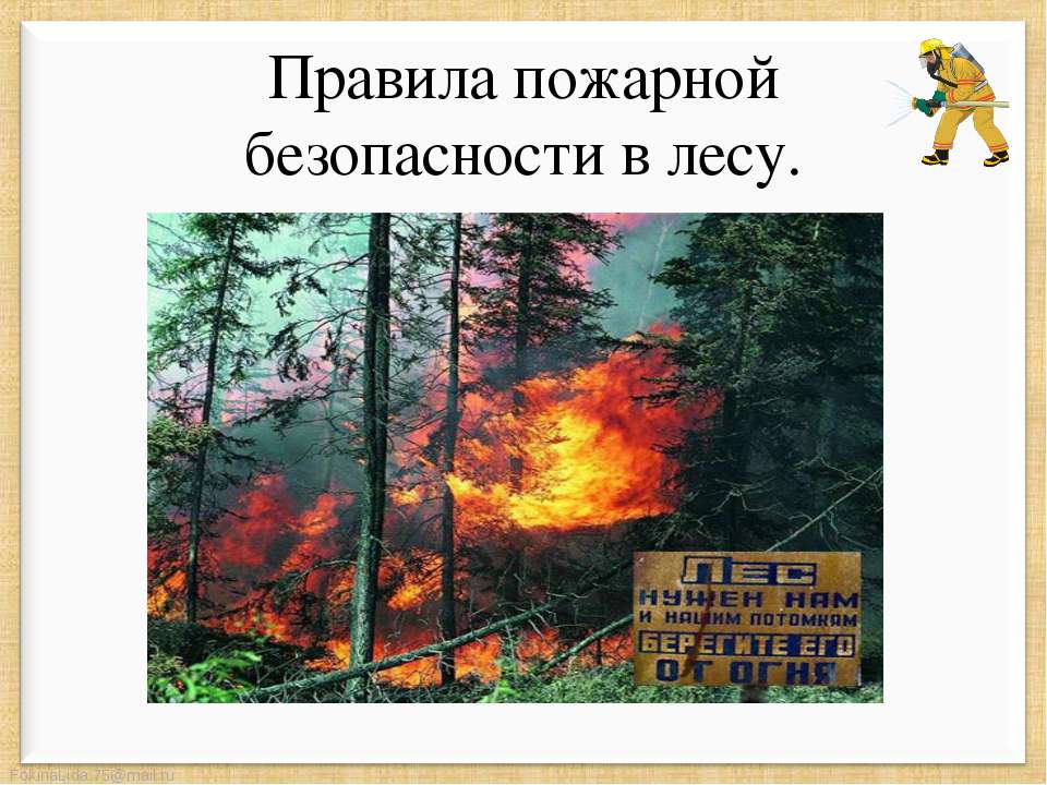 Правила пожарной безопасности в лесу