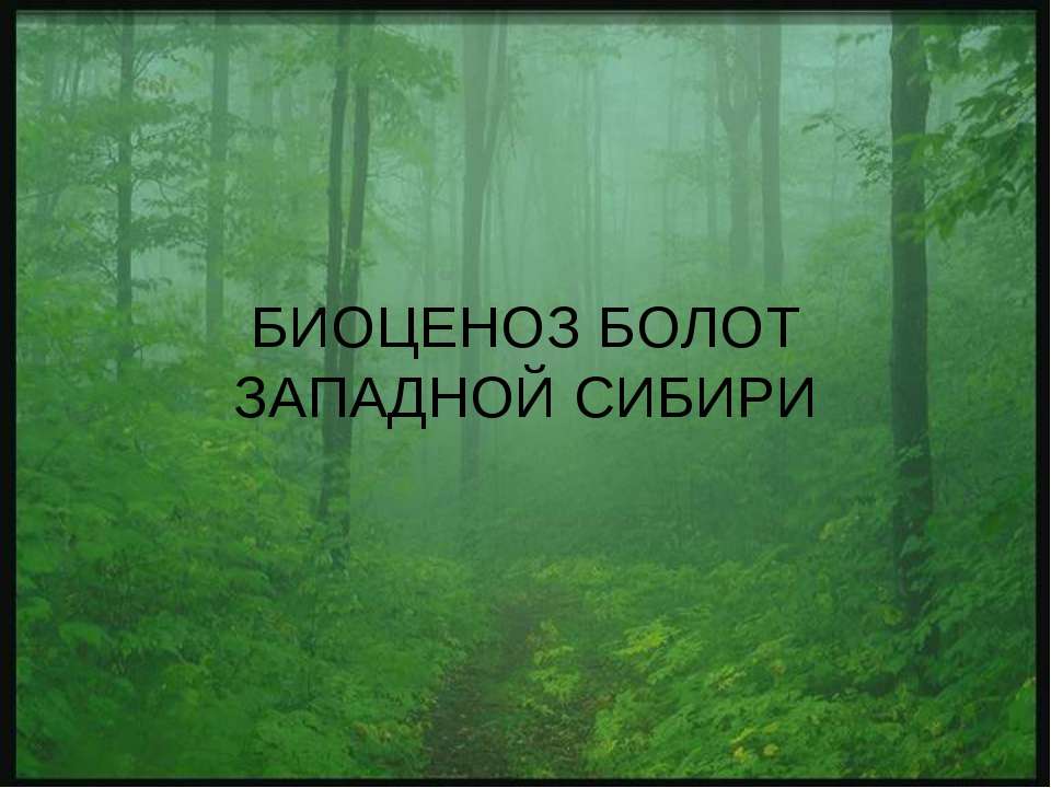 Биоценоз болот западной Сибири