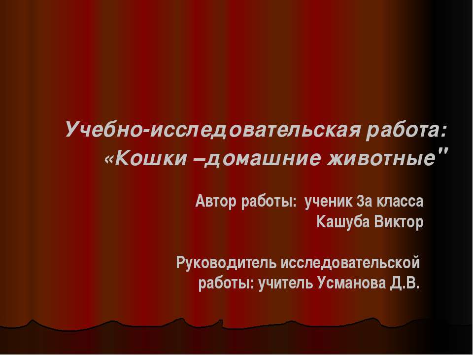 Кошки – домашние животные