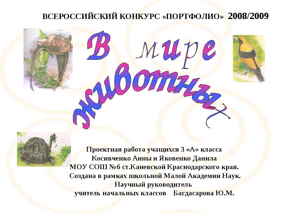 В мире животных