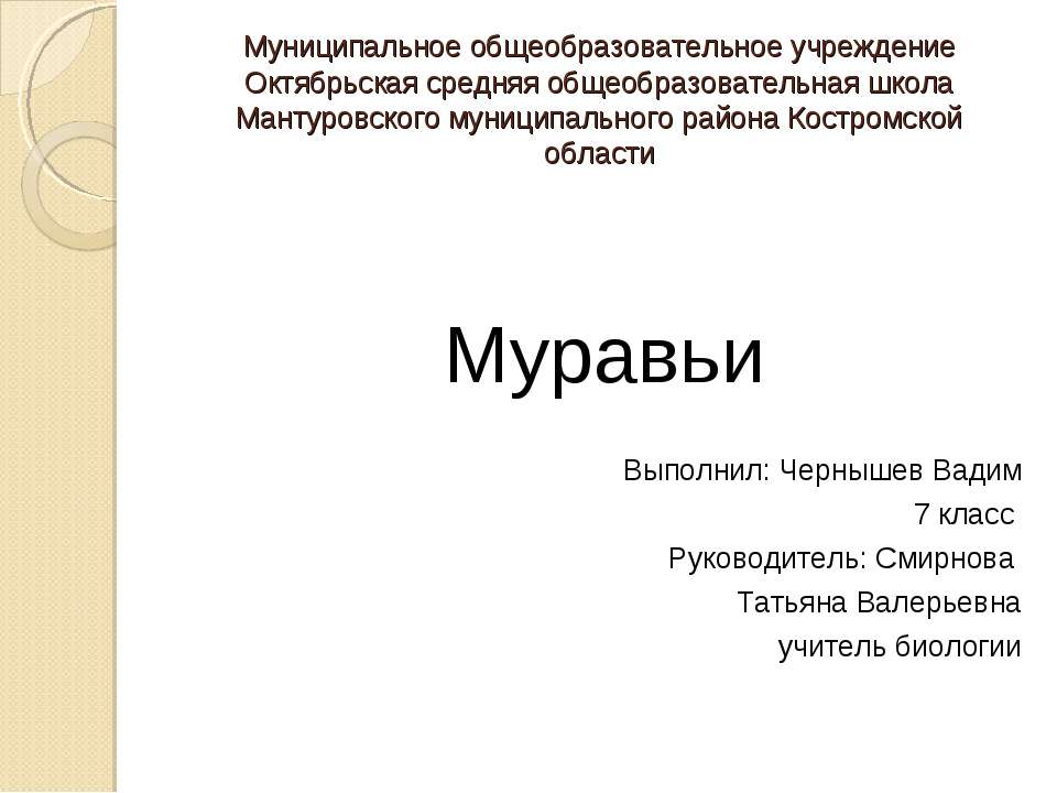Муравьи