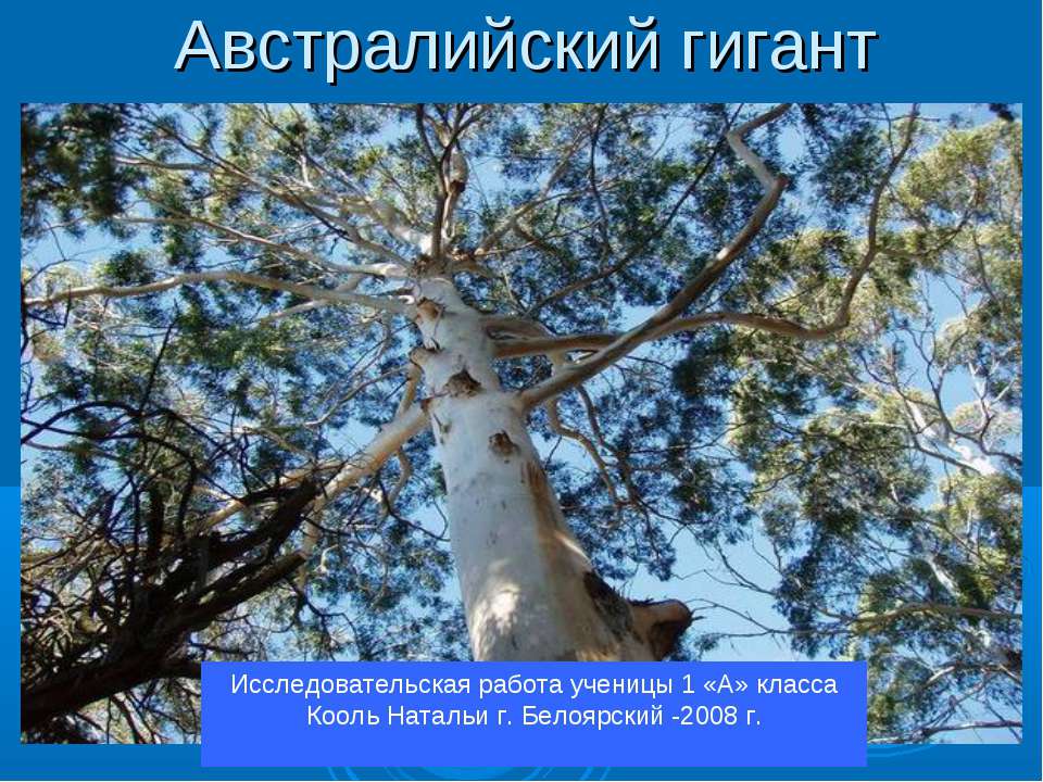 Австралийский гигант