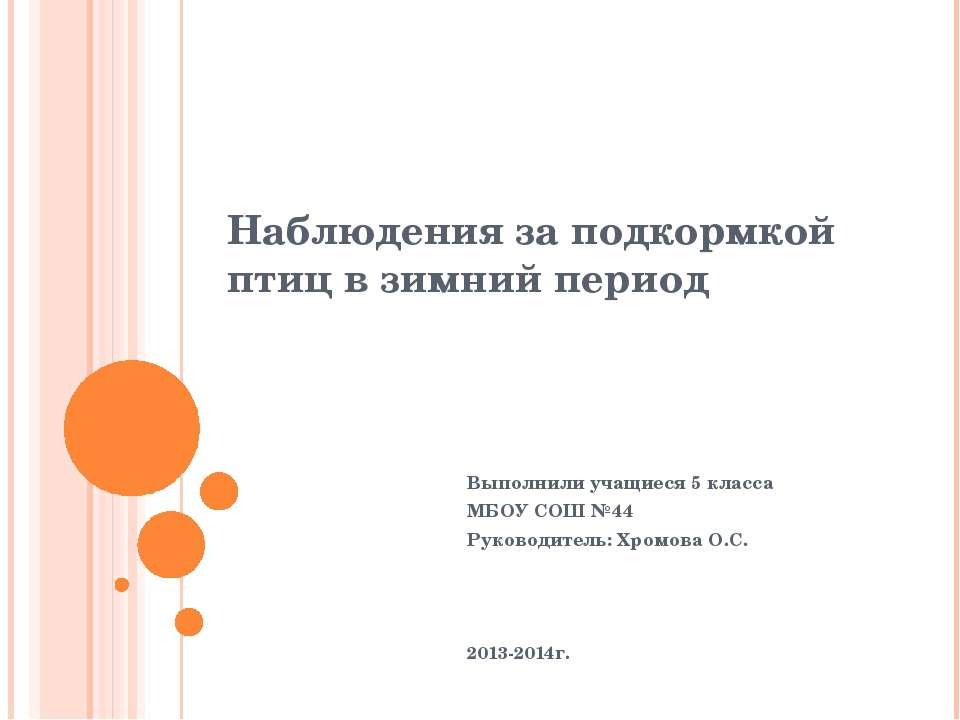 Наблюдения за подкормкой птиц в зимний период