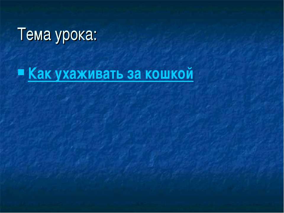 Как ухаживать за кошкой