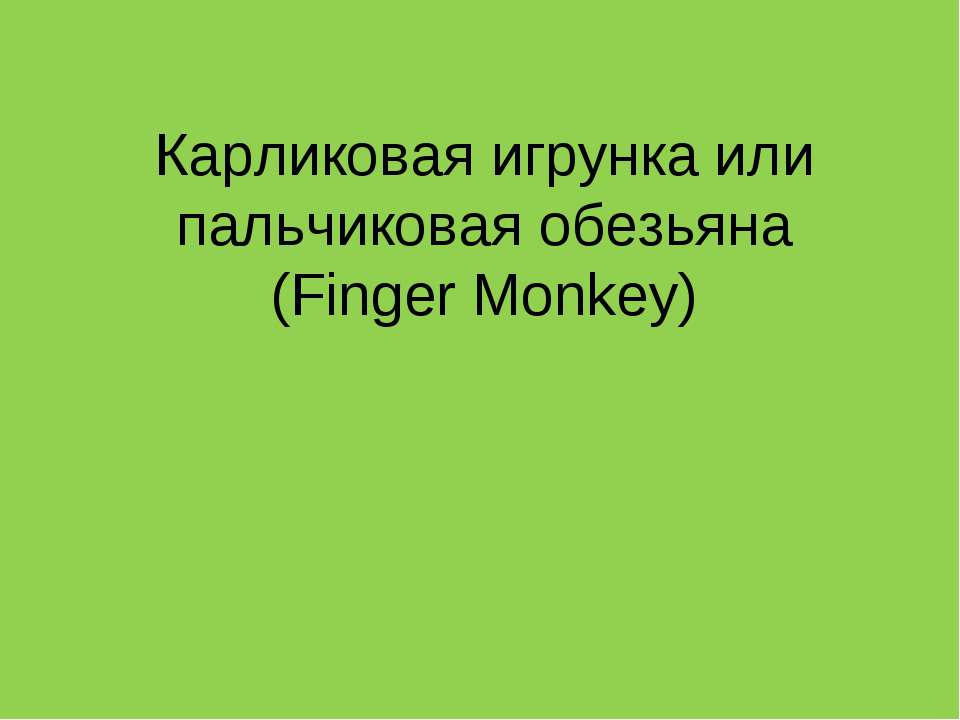 Карликовая игрунка или пальчиковая обезьяна (Finger Monkey)