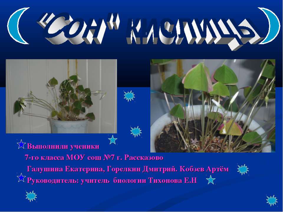 "Сон" кислицы