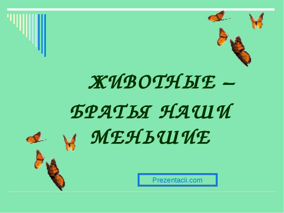 Животные