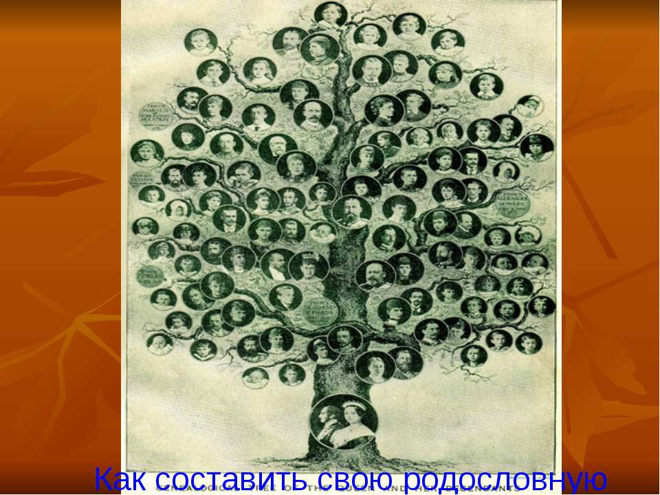 Как составить родословную