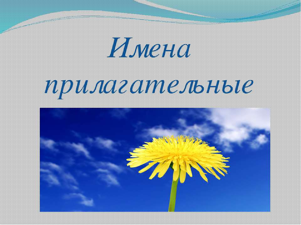 Имена прилагательные