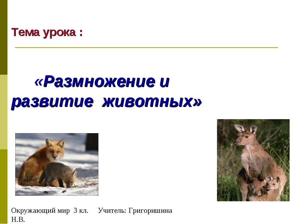 Размножение и развитие животных 3 класс