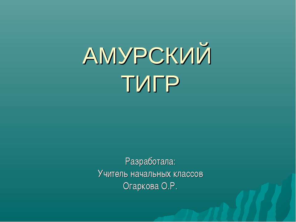 Амурский тигр 4 класс