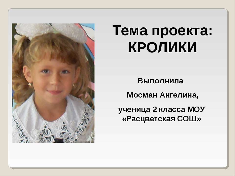Кролики
