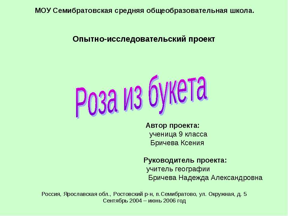 Роза из букета