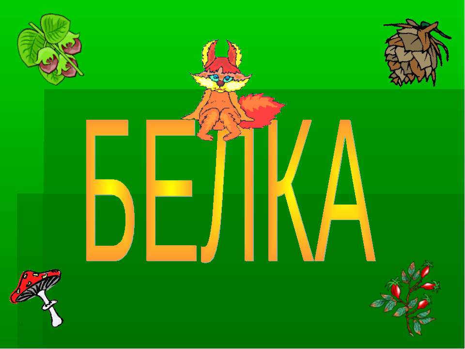 Белка