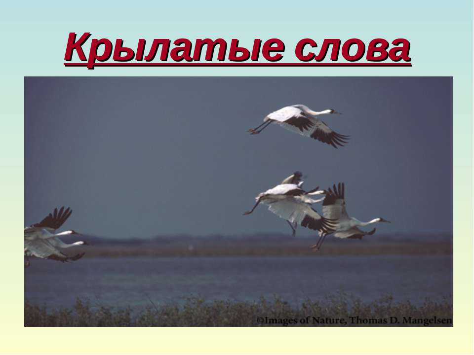 Крылатые слова
