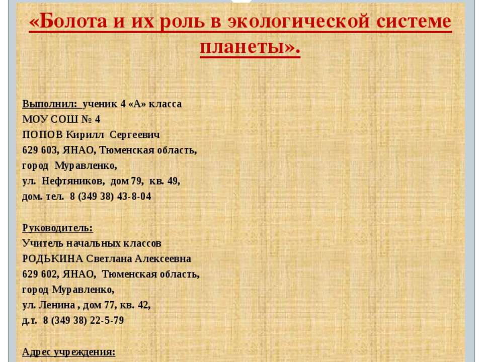 Болота и их роль в экологической системе планеты