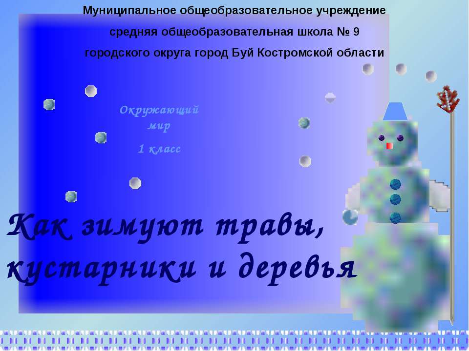 Как зимуют травы, кустарники и деревья