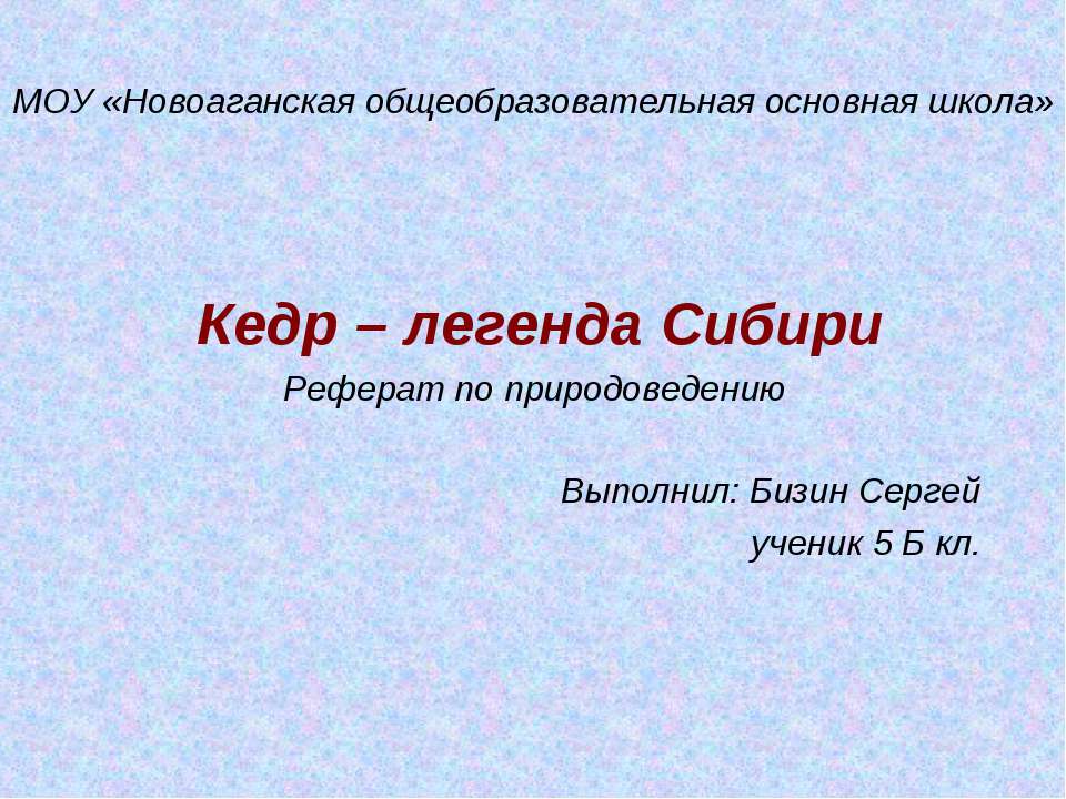 Кедр – легенда Сибири