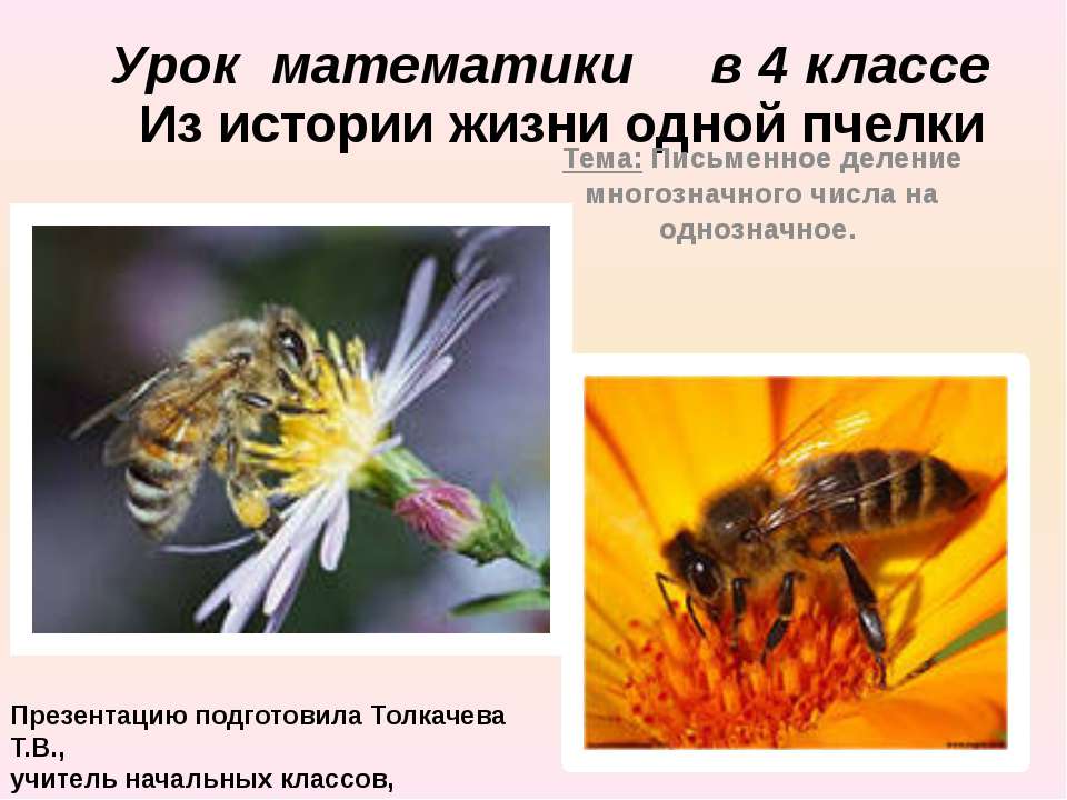 Письменное деление многозначного числа на однозначное