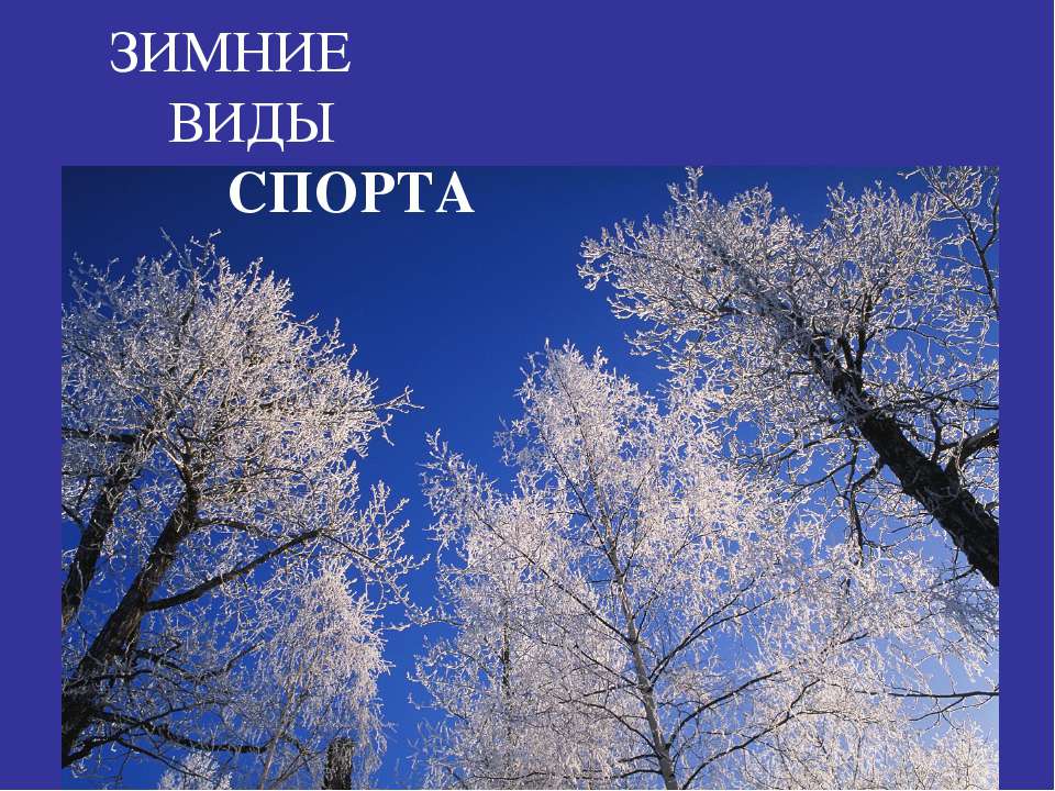 Зимние виды спорта