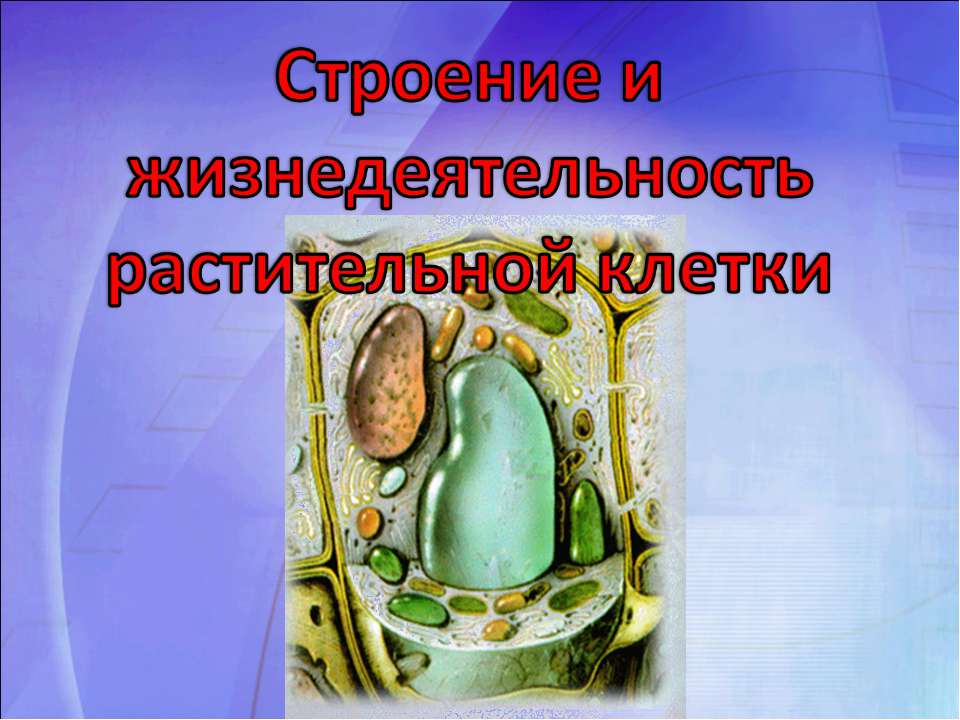 Строение и жизнедеятельность растительной клетки