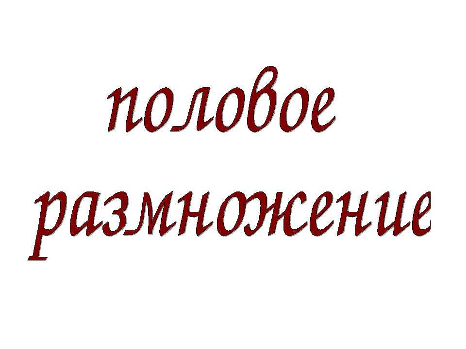 половое размножение