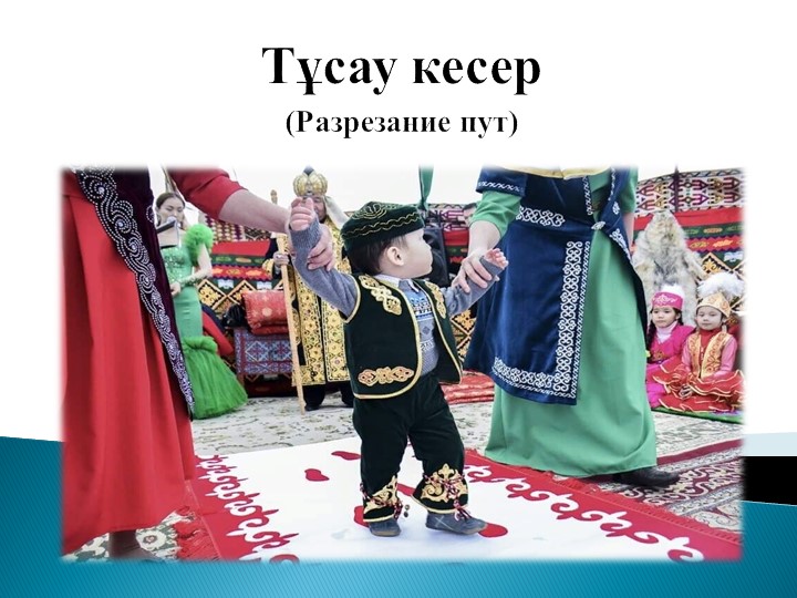 5 класс тусау кесу