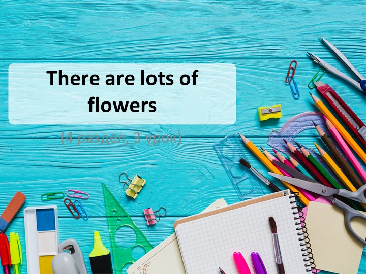 Презентация к уроку английского языка "There are lots of flowers" 2 3 класс