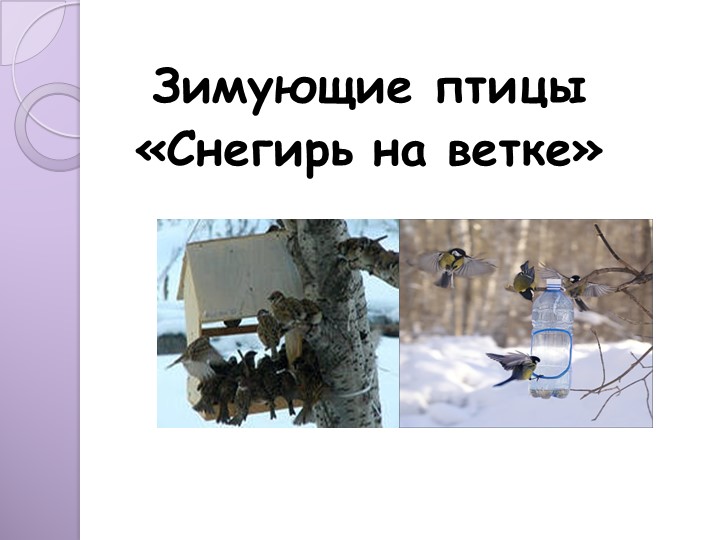 Презентация к занятию по художественно-эстетическому развитию "снегирь на ветке".