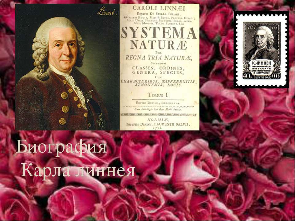 Биография Карла линнея